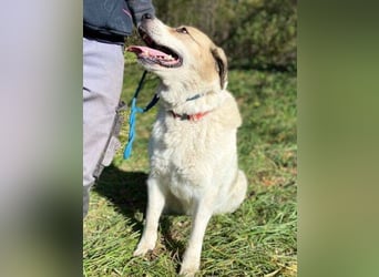 HEIDI 2 ist eine Schönheit