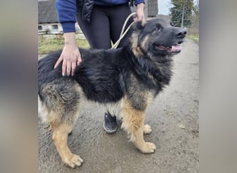 ZEUS durfte nie ankommen