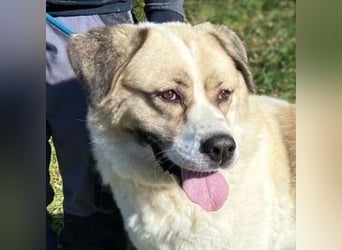 HEIDI 2 ist eine Schönheit