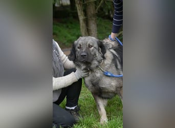 ASTA liebt Menschen sehr