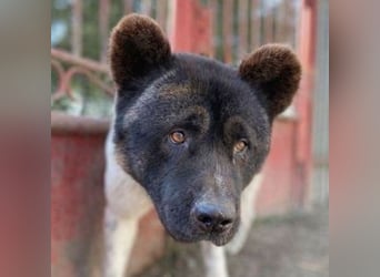 HUGO 2 sein größtes Glück wäre eine Familie