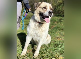 HEIDI 2 ist eine Schönheit