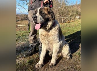 BETTY 2 - Wer zeigt ihr wie schön das Leben sein kann