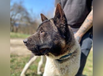 HUGO 2 sein größtes Glück wäre eine Familie