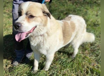 HEIDI 2 ist eine Schönheit