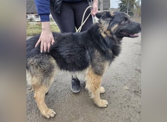 ZEUS durfte nie ankommen