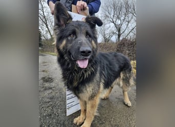 ZEUS durfte nie ankommen