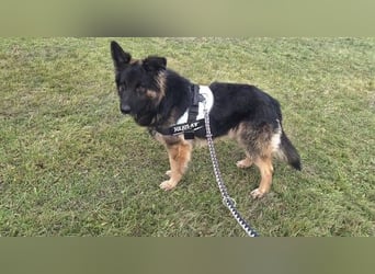 ZEUS durfte nie ankommen