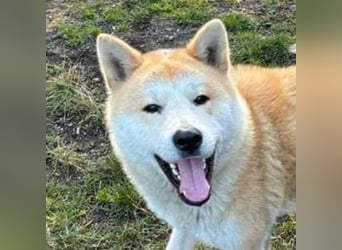 BUBO ist ein Strahlemann