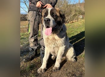 BETTY 2 - Wer zeigt ihr wie schön das Leben sein kann