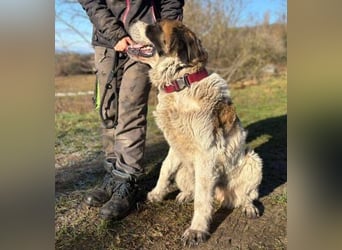 BETTY 2 - Wer zeigt ihr wie schön das Leben sein kann