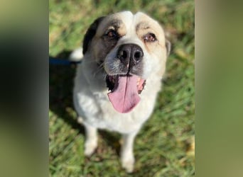 HEIDI 2 ist eine Schönheit