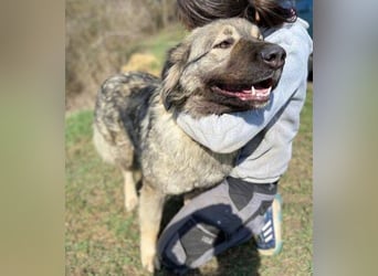 ASTA liebt Menschen sehr