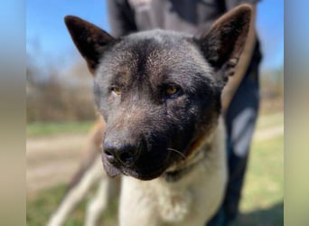 HUGO 2 sein größtes Glück wäre eine Familie