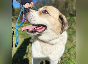 HEIDI 2 ist eine Schönheit