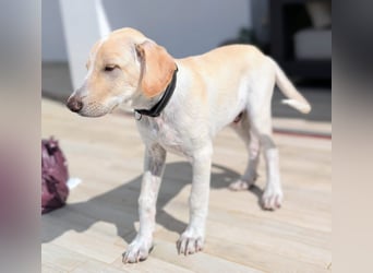 Neo wartet auf seine Familie