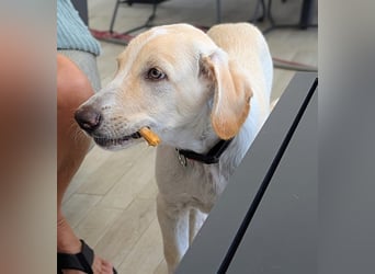 Neo wartet auf seine Familie