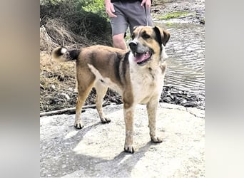 GOLFO möchte dein Leben bereichern