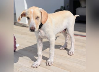 Neo wartet auf seine Familie