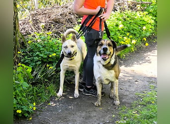GOLFO möchte dein Leben bereichern