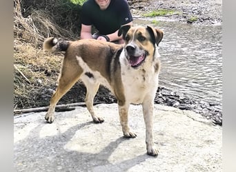 GOLFO möchte dein Leben bereichern