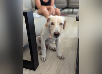 Neo wartet auf seine Familie