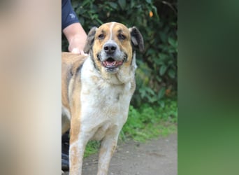 GOLFO möchte dein Leben bereichern
