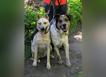 GOLFO möchte dein Leben bereichern