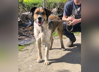 GOLFO möchte dein Leben bereichern