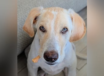 Neo wartet auf seine Familie