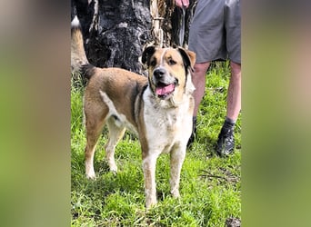 GOLFO möchte dein Leben bereichern