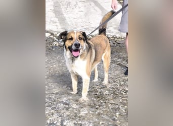 GOLFO möchte dein Leben bereichern