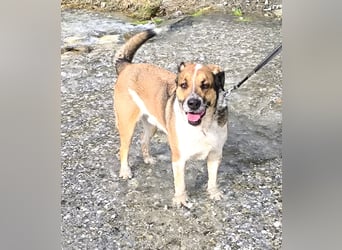 GOLFO möchte dein Leben bereichern