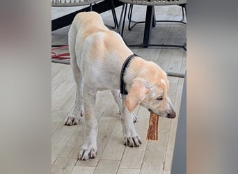 Neo wartet auf seine Familie