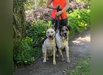 GOLFO möchte dein Leben bereichern