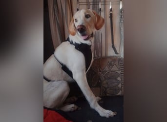 Neo wartet auf seine Familie