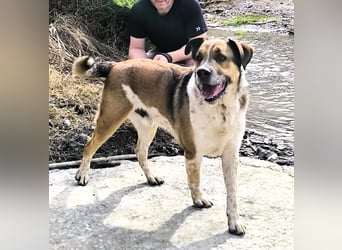 GOLFO möchte dein Leben bereichern