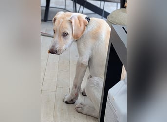 Neo wartet auf seine Familie