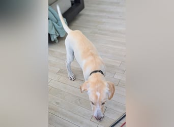 Neo wartet auf seine Familie