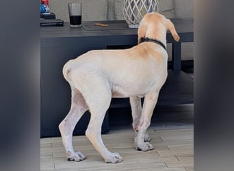 Neo wartet auf seine Familie