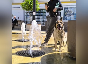 GOLFO möchte dein Leben bereichern