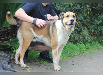 GOLFO möchte dein Leben bereichern
