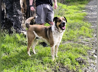 GOLFO möchte dein Leben bereichern