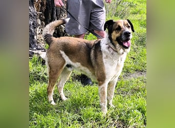 GOLFO möchte dein Leben bereichern