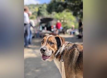GOLFO möchte dein Leben bereichern