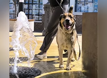 GOLFO möchte dein Leben bereichern