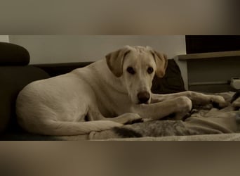 NEO wartet auf seine Familie