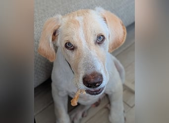 Neo wartet auf seine Familie