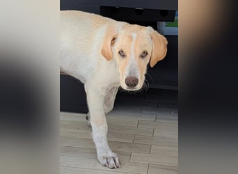 Neo wartet auf seine Familie