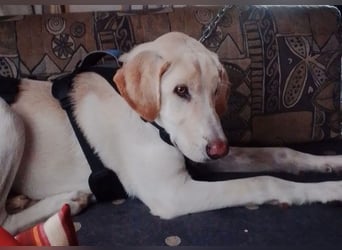 NEO wartet auf seine Familie